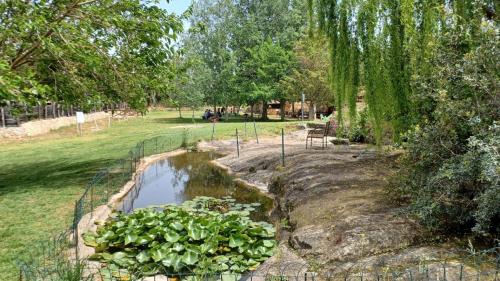 Pond at the Roman Castrum Museum in Sassari