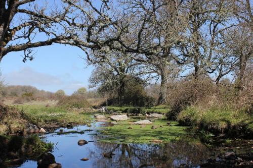 Rio Biralotta a Bolotana nel Parco Pabude