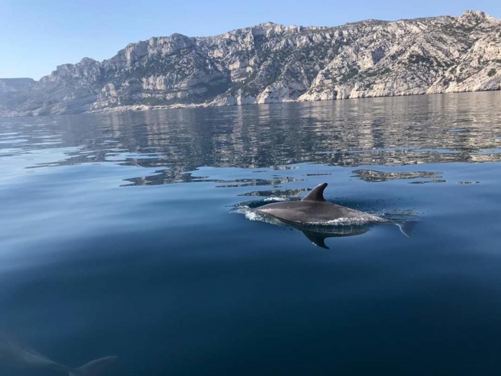 Tour In Esclusiva Con Skipper In Gommone Nella Penisola Del Sinis Ad Oristano Sardegna Escursi Com