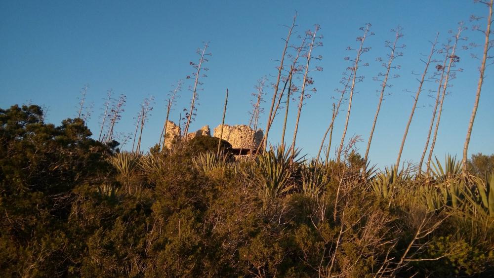 Walk to discover the Devil’s Saddle in Cagliari, Sardinia | Escursi.com
