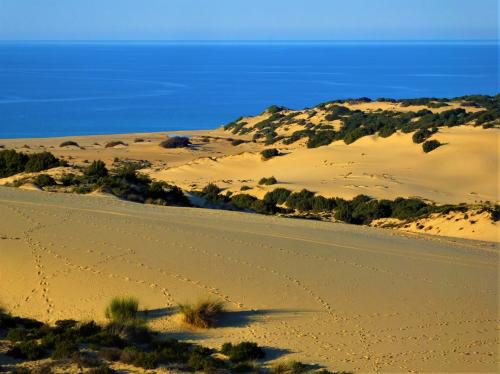Playa Piscinas Dunes en Arbus