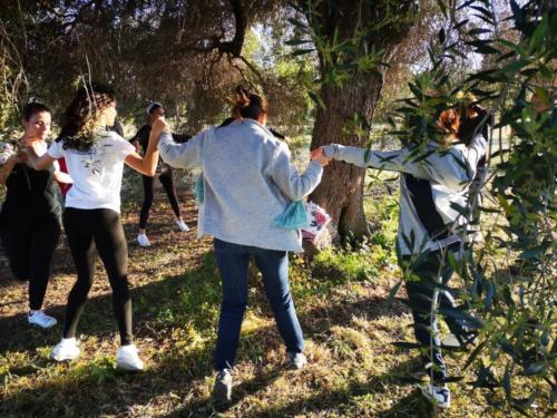 Hikers in the olive grove