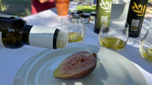 Pairing oil with food during a guided tasting in Oristano