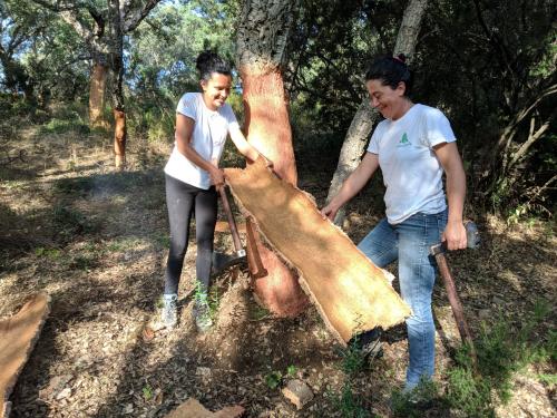 Excursionistas durante la extracción