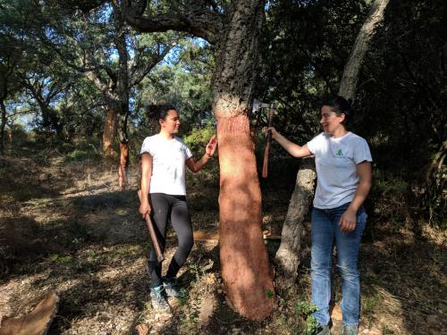 Excursionistas durante la extracción guiada