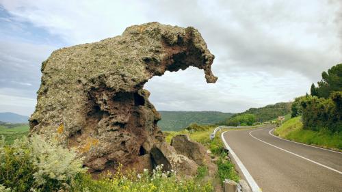 Elephant rock