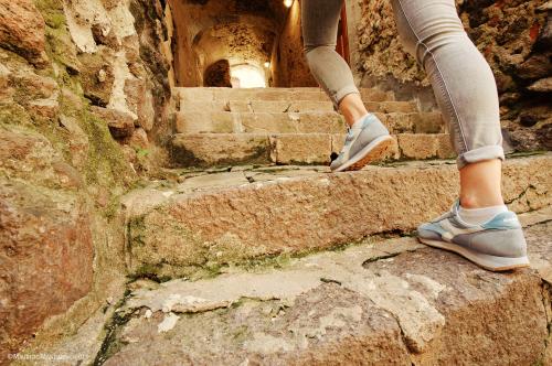 Guided walk in the historic center