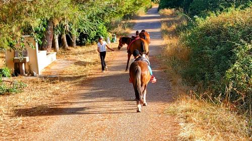 Escursione a cavallo tra le campagne di Sedini