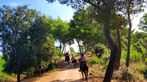 Escursione a cavallo nel bosco di Sedini