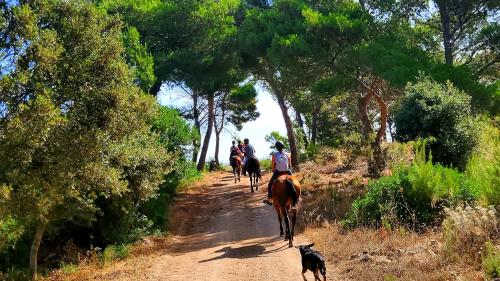 Escursione a cavallo con cane al seguito nel bosco di Sedini