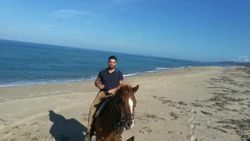 Junge, der ein Pferd am Strand reitet