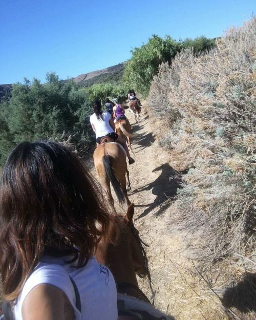 Escursionisti a cavallo a Sedini