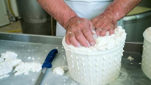 <p>Guide shows how to prepare cheese from sheep’s milk on a farm in Burgos</p><p><br></p>
