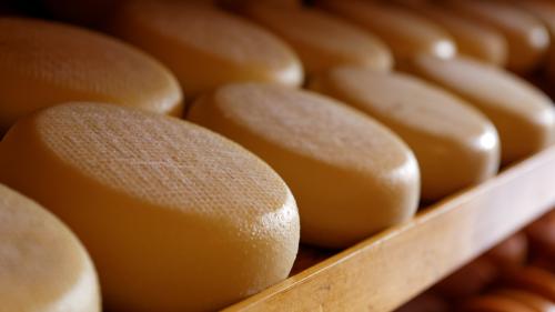 <p>Cheeses made on the farm in Burgos</p><p><br></p>