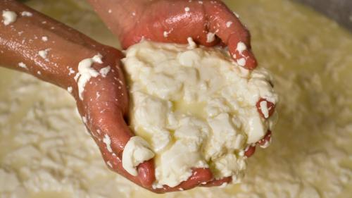 Dimostrazione della lavorazione del latte di pecora durante laboratorio del latte a Burgos