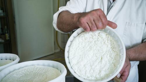 <p>Zubereitung von Käse aus Schafmilch in Burgos</p><p><br></p>