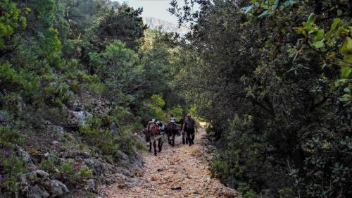 Wanderung mit Führer und Esel in Supramonte