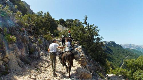 hike with guide and donkey in Supramonte