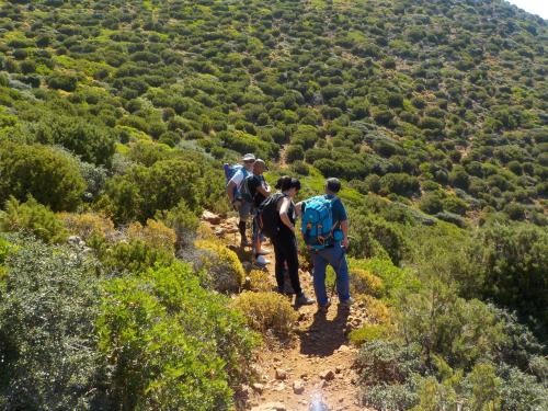 Guided hikers