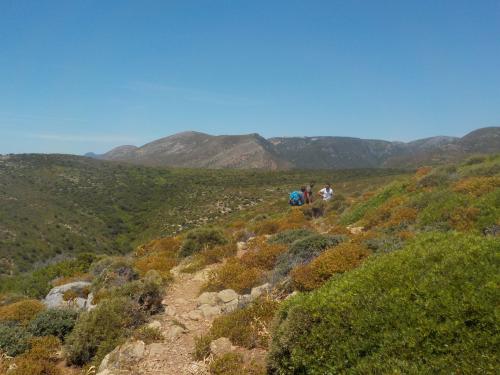 Escursionisti durante trekking guidato