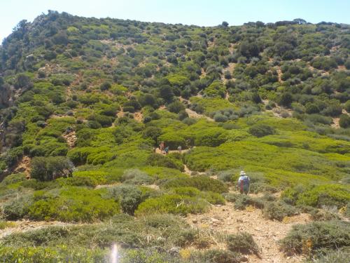 Natura verde durante escursione di trekking