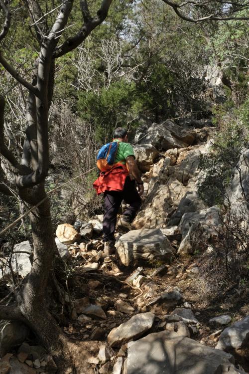 Caminante durante una ruta de trekking guiada