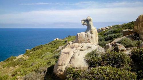 Roccia del giardino di pietra