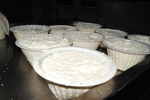 Preparazione della ricotta con latte locale