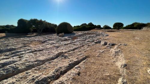 Ingresso necropoli Su Crocifissu Mannu