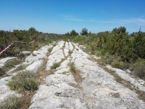 Sentiero per raggiungere su Crocifissu Mannu