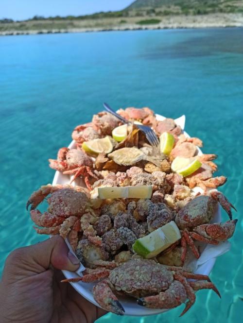 Freshly caught fried squid dish