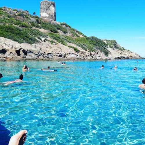 Niños nadan en el mar azul de Asinara