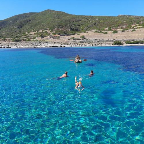 Boys swim in the blue sea of Asinara