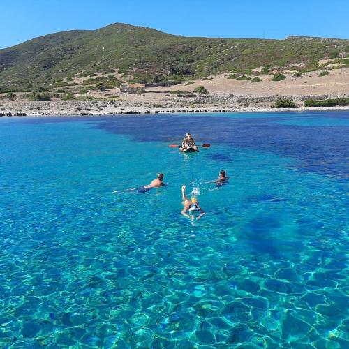 Les garçons nagent dans la mer bleue de l'Asinara