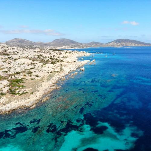 Coast of the island of Asinara