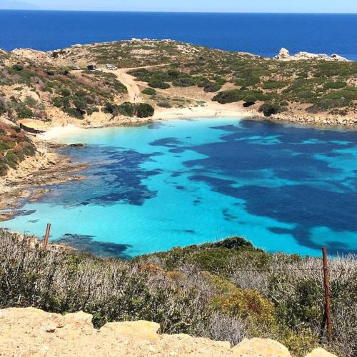 Asinara island beach