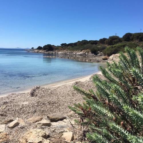 Beach on the island of Asinara