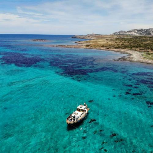 Wooden goiter in the Gulf of Asinara