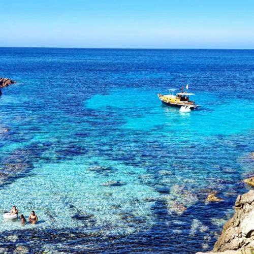 Wooden goiter in the Asinara sea