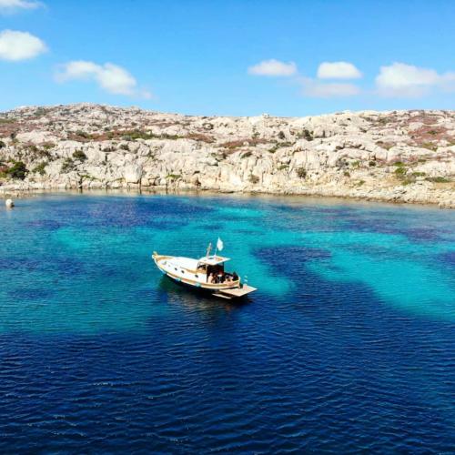 Wooden goiter in Asinara