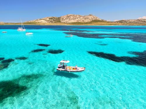 Boat excursion to the island of Asinara immersed in an unforgettable and transparent sea