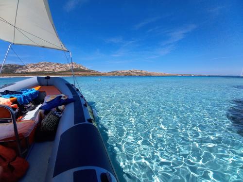 Crystal clear sea for snorkeling at Asinara
