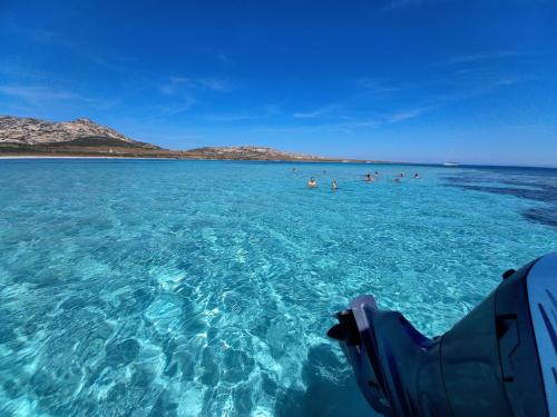 <p>Kristallklares Meer zum Schnorcheln in Asinara</p><p><br></p>