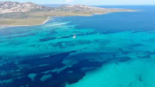 Asinara und das Meer