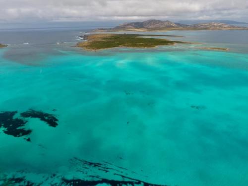 Asinara e Isola Piana