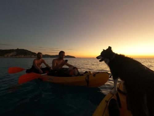 Excursionistas con perro en kayak al atardecer en Cabo Carbonara