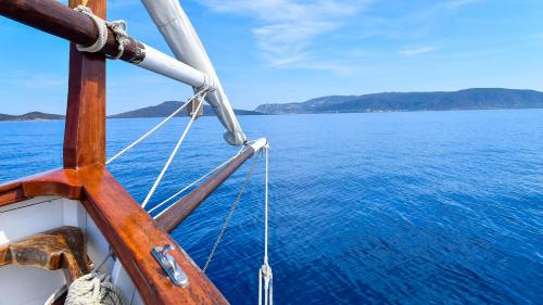 Segeln zur Insel Asinara an Bord des Mastro Pasqualino