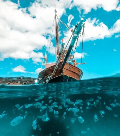 Veliero nel Golfo dell'Asinara con mare e pesci