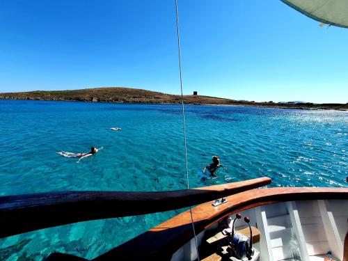family and friends on a boat trip in the Gulf of Asinara Island