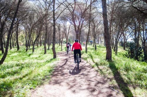 Arrêt dans la pinède lors de le bike tour le long de la côte de Torregrande, de Oristano